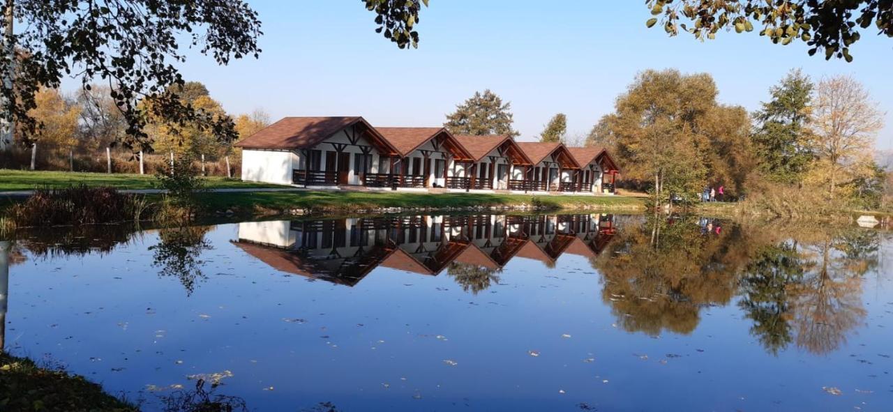 Fantanita Craiesei Hotel Făgăraş Exterior foto